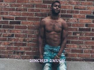 2inches_2much