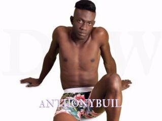 ANTHONYBUIL