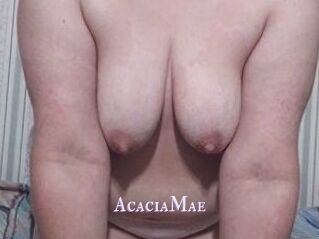 AcaciaMae
