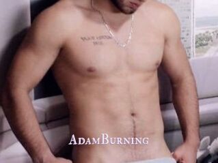 AdamBurning