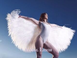 Aerial_Leigh X Drow