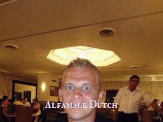 Alfamale_Dutch