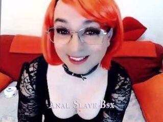Anal_Slave_Bsx