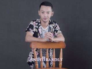 AndyBrandly