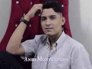 AndyMontenegro