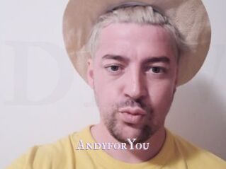 AndyforYou