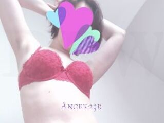Angek23r