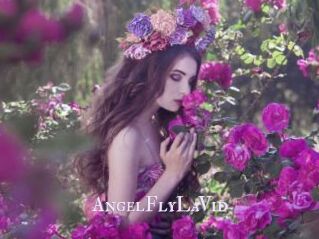 AngelFlyLaVid