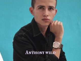 Anthony_wild