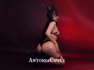 AntoniaCutee