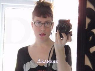 Araneae