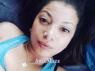 Aria_Maze