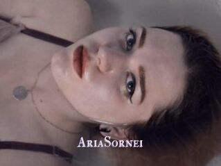 AriaSornei