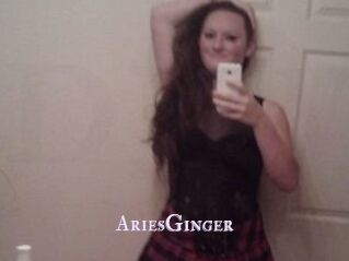 AriesGinger