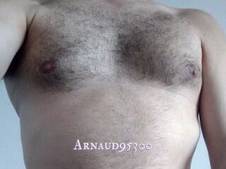 Arnaud95300