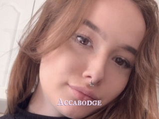 Accabodge