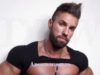 Adonis_muscles