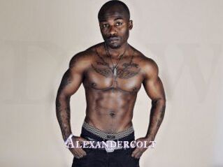 Alexandercolt