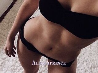 AlpacaPrince
