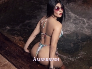 amberbush X Drow