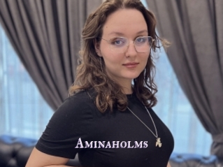 Aminaholms