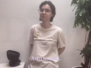 Amitygodsil