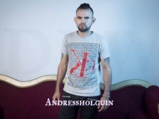 Andressholguin