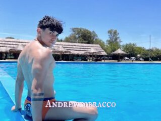 Andrewdibracco