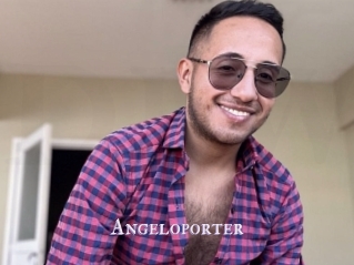 Angeloporter