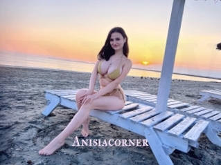 Anisiacorner