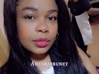 Antarabrunet
