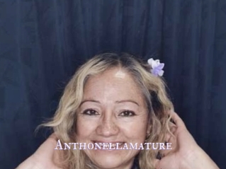 Anthonellamature