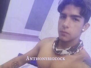 Anthonybigcock