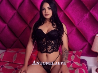 Antonelaeve