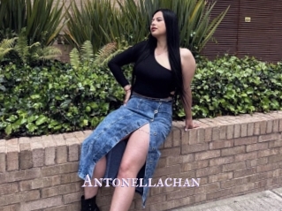 Antonellachan