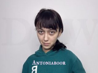 Antoniaboor
