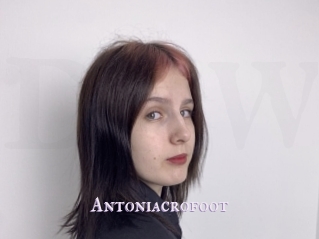Antoniacrofoot