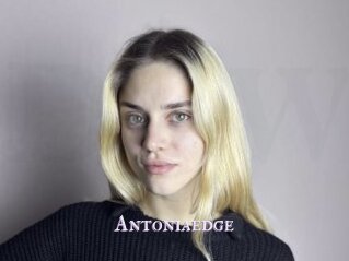 Antoniaedge