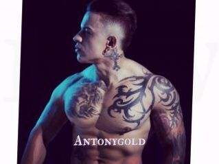 Antonygold
