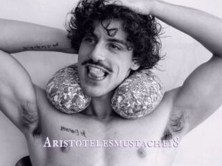Aristotelesmustache18