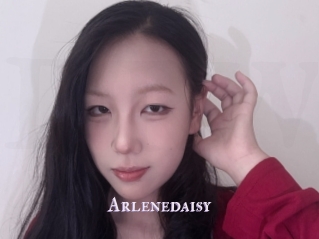 Arlenedaisy