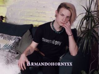 Armandohornyxx