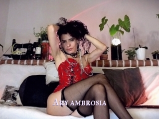 Ary_ambrosia