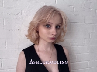 Ashleycodling