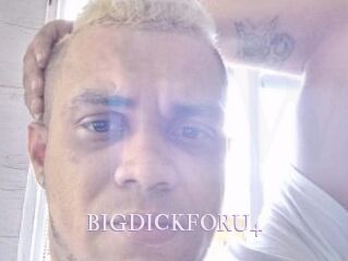 BIGDICKFORU4