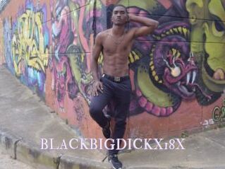 BLACKBIGDICKX18X