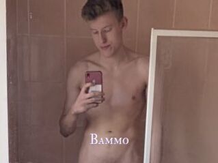 Bammo
