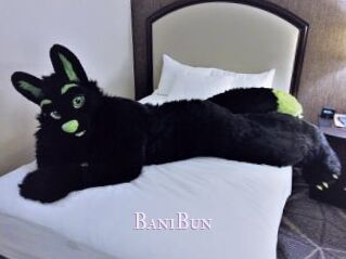 BaniBun