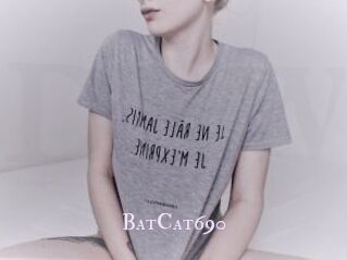 BatCat690