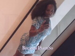 BecauseISaidSo